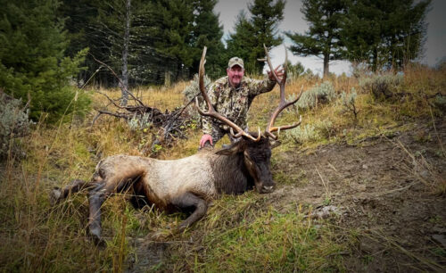 Elk Hunting - Montana